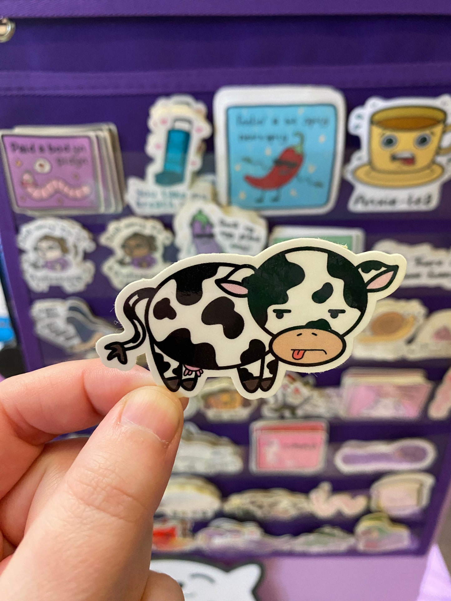 Grumpy cow sticker