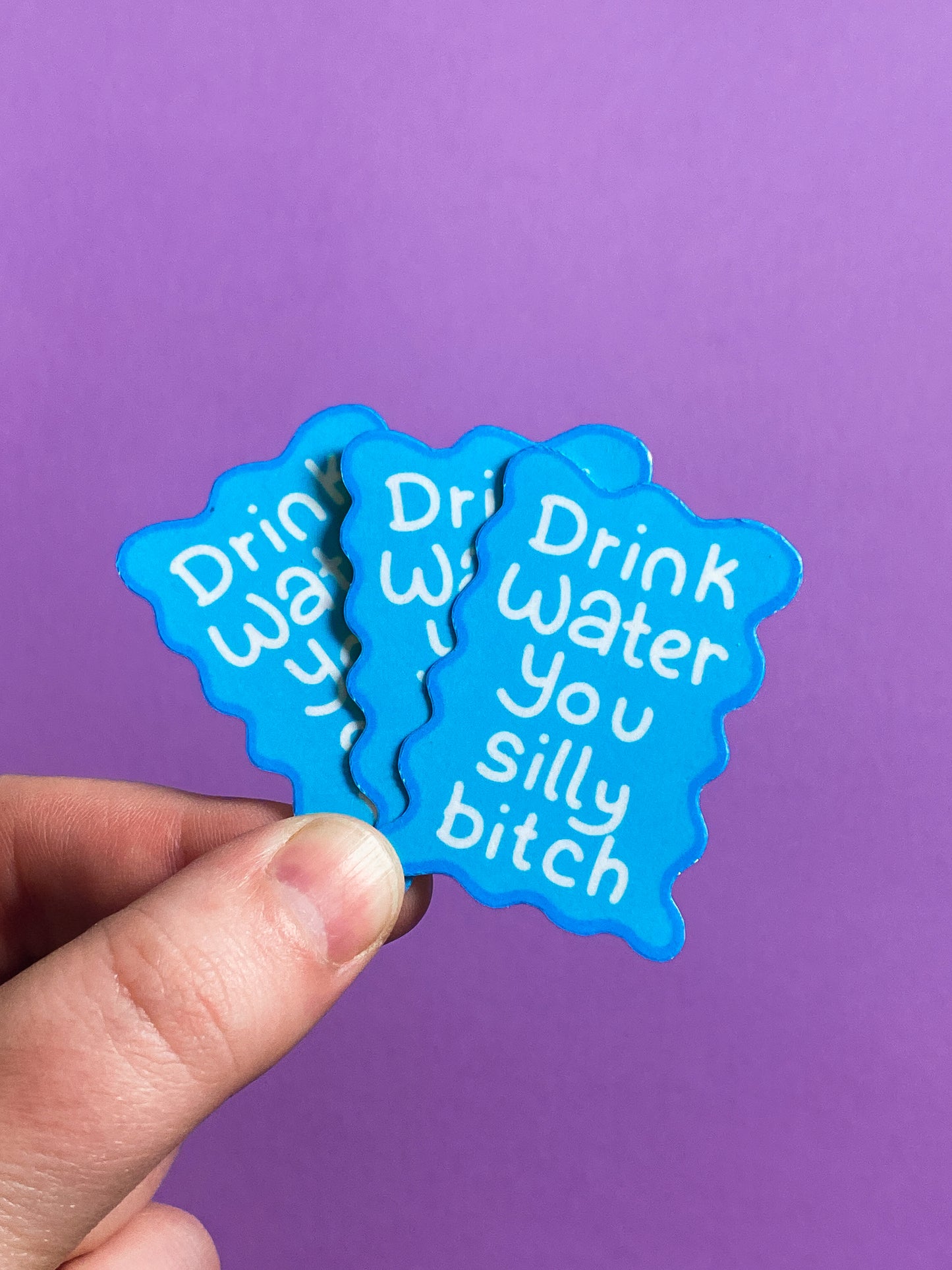 Drink water you silly bitch sticker